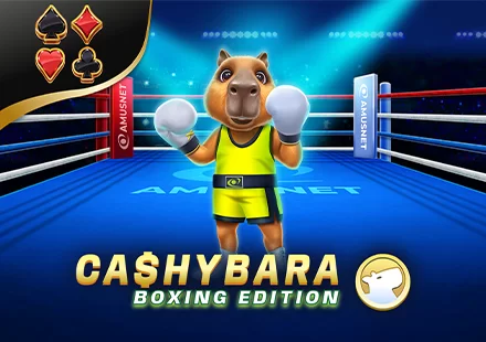 Cashybara Boxing Edition